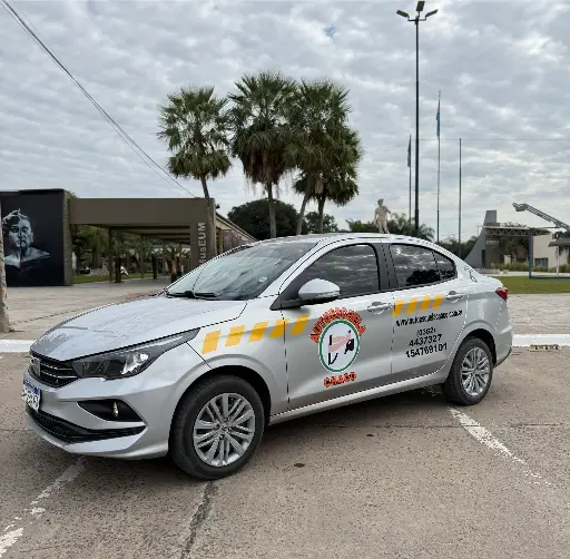 CURSO NIVEL 1 -                CONDUCTOR                   PRINCIPIANTE